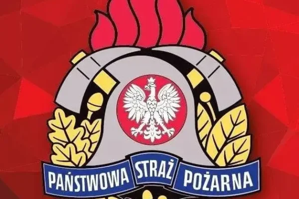 Nowy bus dla Komendy Powiatowej PSP w Słubicach – zakup w ramach programu OLI