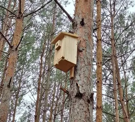 Koło Łowieckie Tumak wzbogaca lasy o budki lęgowe dla ptaków