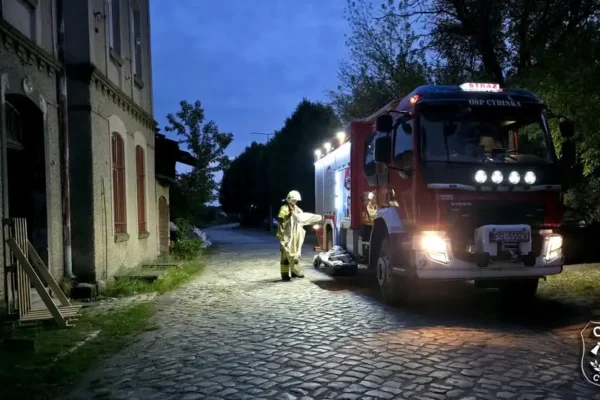 Cybinka: strażacy z OSP usuwali gniazdo os przy ul. Kolejowej