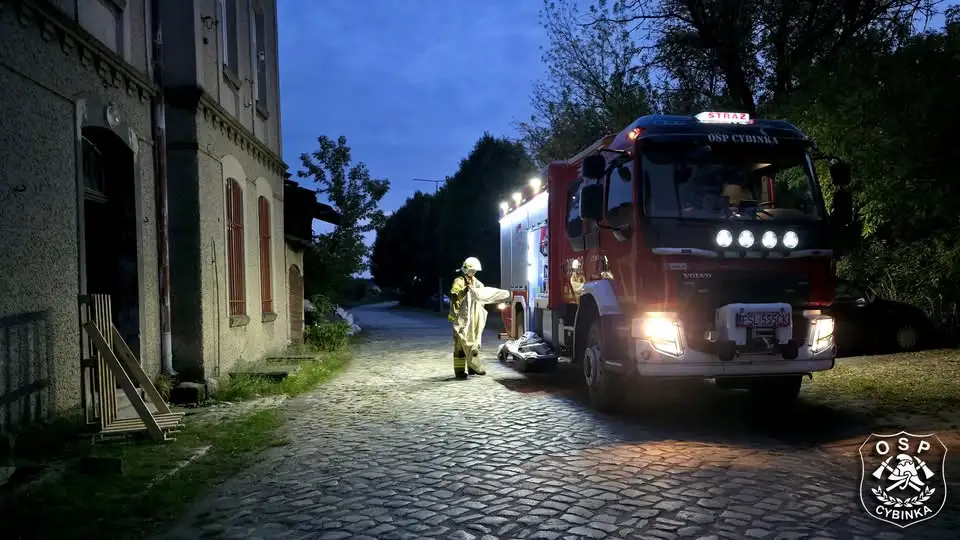 Cybinka: strażacy z OSP usuwali gniazdo os przy ul. Kolejowej